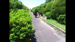 他人棒_野外_道路