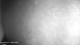 Encoxada leather pants dancing on dick at concert