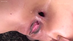 從順雌犬中出調教