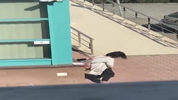 BETTER outdoor masturbation voyeur