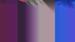 poko ASMR Ear licking