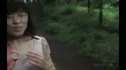 投稿）首輪とリードで公園散歩