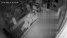 ジム監視カメラ　ハッキング