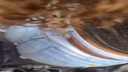 Encoxada festival cum in pants from Black beauty