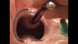 ールのように扱ってほしい、性玩具、どんな命令にも従います。マゾ奴部屋で調教。(SM)