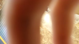 逆さ撮り ノーパン