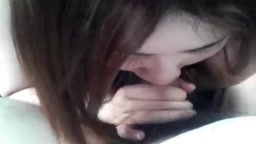 しゃないふぇら