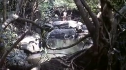 CINEMA アジア レ〇プ