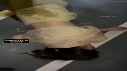 アナル オナニー Drunk