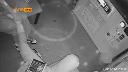 本)신작 IP 코인노래방여친 바지벗기고