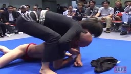 ミスターポーゴのキャットファイト