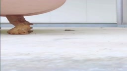 裏垢　うんち　大量