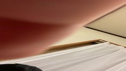 ちーまき　ぽろり