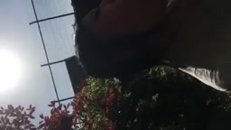 人妻教師　野外フェラ2