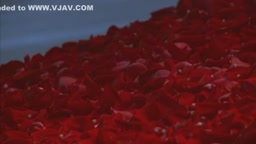 芸能人  巨乳 小桜セレナ 5