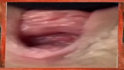 The Scream ﾋｨ────ﾉ)ﾟДﾟ(ヽ────!!