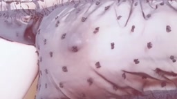 X裏垢女子 乳首オナニー