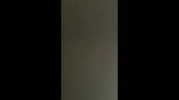 日記-野性的快感