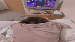 ゲーム中に後ろから