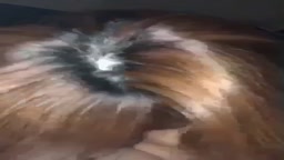 ハメ