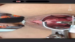 ライブ　クスコ