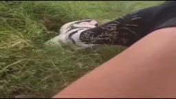 I just saw Chainsaw Man The movie it so peak.