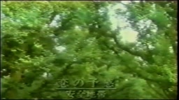 おとなのボキャ天 なで、なめ。