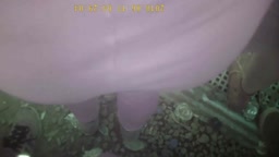 Encoxada Red Leggins 4