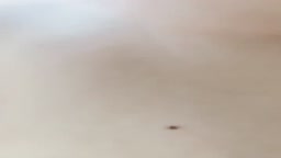 動画投稿無しの申請は固くお断りしています