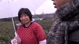 茶摘み畑のおばちゃんと・・