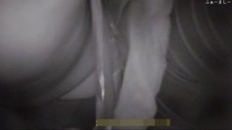 ふぁーましー⑫