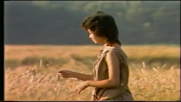 三原じゅん子 2