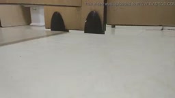 desperate woman rush into the toilet to pee