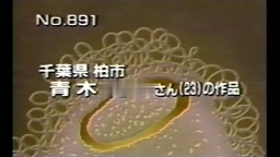 おとなのボキャ天 ぼかーしぼかしアノ所に