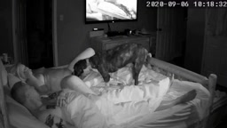 Couple play with guest