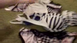 拾い　上下3組⑤　ぶっかけ