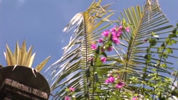 [ENFD-5143] Takizawa Nonami – Yawahada