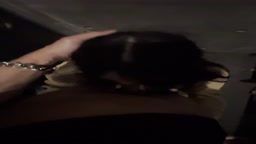 OL ナンパ　フェラ