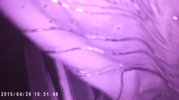 Encoxada Concert Part 1