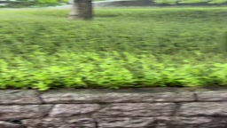 人妻YUI　初めまして♡えちえち散歩＆撮影会～露出編③～