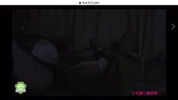 暗闇で見える乳首