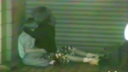 YA_しかけにん .5_2.mp