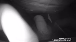 Enconxada Concert Ass