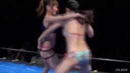 キャットファイト