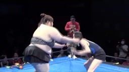 キャットファイト下