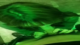 クラブ フェラ強要