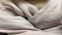 美巨乳とえろいぷ２