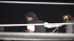 キャットファイト