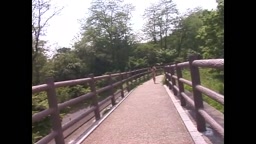 NIGHT FLY_アップル写真館_BEST OF BEST_Vol.04_ミリオンムック26