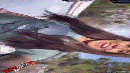 Winter-冬の特別版